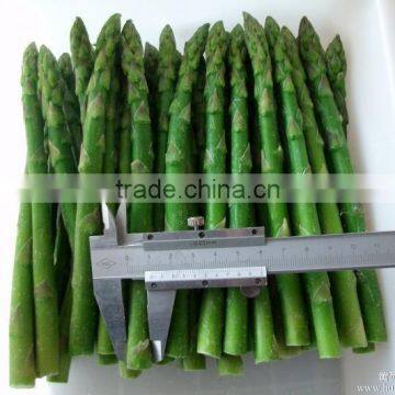 Frozen Asparagus photo-4