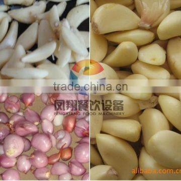 New Condition Industrial Type Electric Drived Garlic Peeler Machine / Small Onion Shelling Machine / With CE photo-4