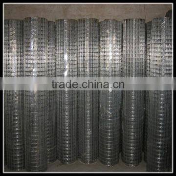 Most popular hot dipped galvanized welded wire netting