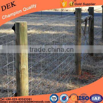 Cattle farm iron wire fencing price and abattroir