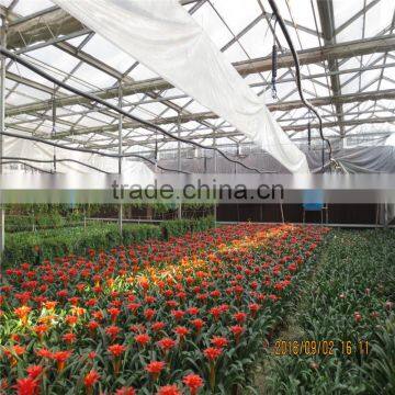 Large Tunnel Galvanized Agricultural Greenhouse for Green Vegetables photo-2