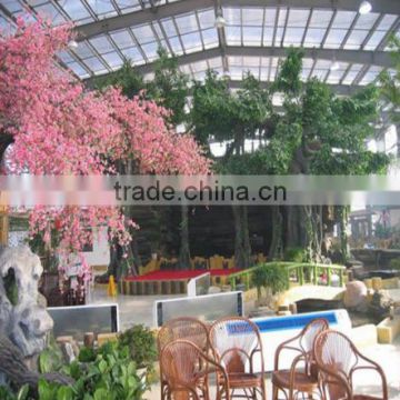 Beautiful restaurant greenhouse for sale