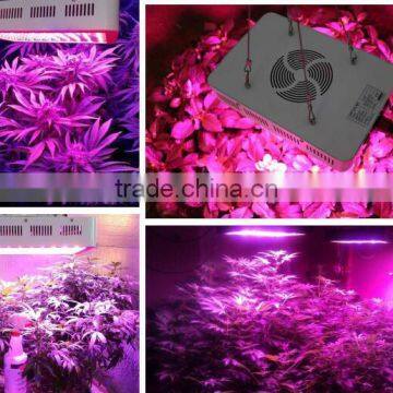 2016 OFF Promotions! Led Grow Light 300w 600w 1000W 5 Watt Chips Full Spectrum Led Grow Lights photo-4