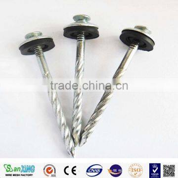 Competitive Price Umbrella Roofing Nails Directly Manufacturer photo-3