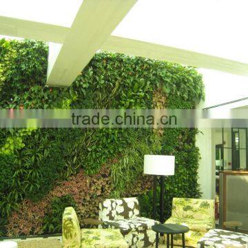 Fashion Building Wall Decoration With Green Vertical Grass photo-2