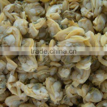 Baby Clam Meat photo-5