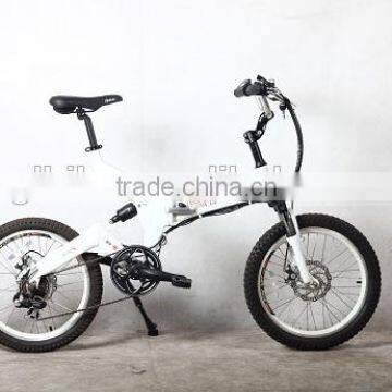 electric bike with LI-ion battary