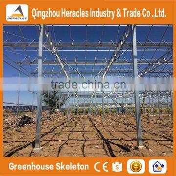 Factory Price Trade Assurance Commercial Professional Used PC Greenhouse for Sale photo-6