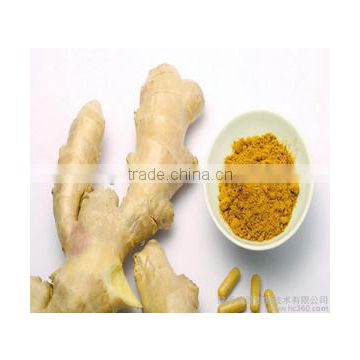 Ginger extract, Ginger root extract, Ginger extract powder