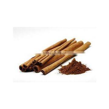 Cinamon Extract photo-3
