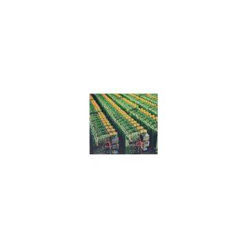 China (Mainland) PCB Assembly