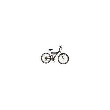 France Mountain Bike