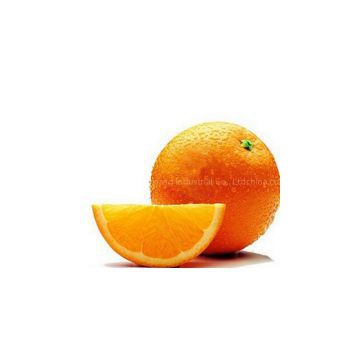 Navel Orange