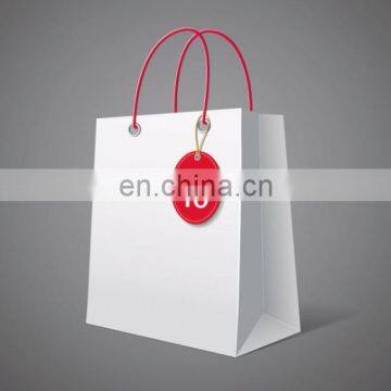 Luxry paper gift bag with custom logo and tag