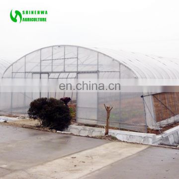 2018 Heated Vegetable Tunnel Greenhouse For Sale