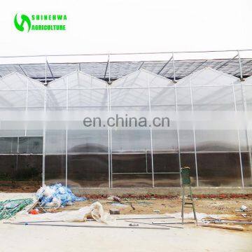 Agriculture Greenhouse, Polycarbonate Greenhouse With Black-out System for Medical Planting photo-5