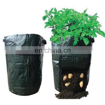 PE Plastic Tree Planting Grow Bags