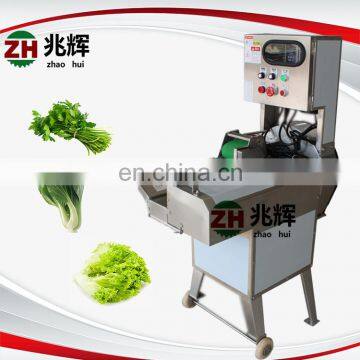 Adjustable Vegetable and Fruit Cutting Machine Banana Slicing Cutting Machine Vegetable Section Cutter Machine photo-6