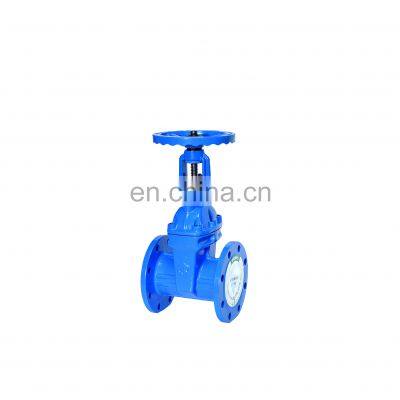 Tyco China Manufacturer DN50 Cheap Cast Iron Cast Steel Resilient Seated Rising Stem Gate Valve