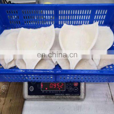 Hot Sale IQF Frozen Squid Fillet Head off Wing on photo-3