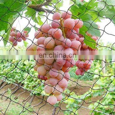 Hot Sale The Best Knitted Anti Bird Netting photo-4