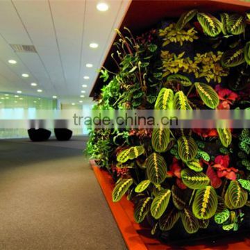 wall hanging artificial flowers/artificial green wall/artificial plant wall