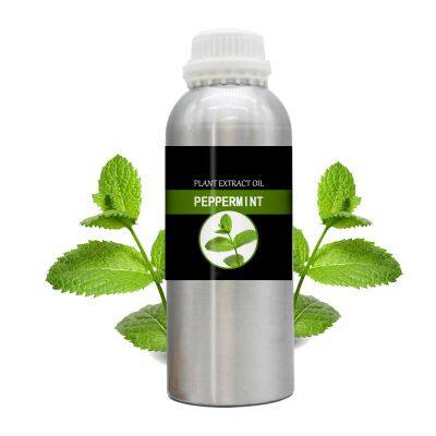 Natural Essential Oil Manufacturer Peppermint Oil for Pharma and Cosmetic Raw Material photo-4