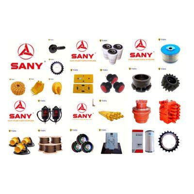 Original or Sany Parts Sany Equipment Parts Spare Parts for Saysany Warranty