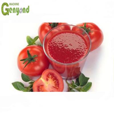 Shanghai Complete Tomato Concentration Paste Production Line