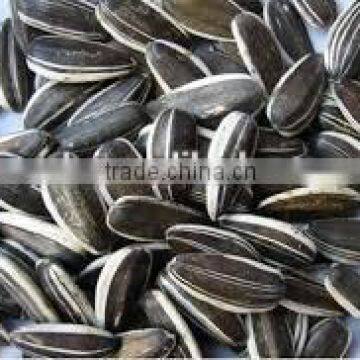 Chinese delicious confectionery sunflower seed for sale