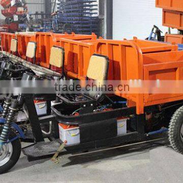 High Torque Heavy Loading Cargo Tricycle