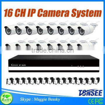 Bessky 1080P IP Camera kit, 2.0Megapixels Outdoor IP Camera 16CH wireless home security system