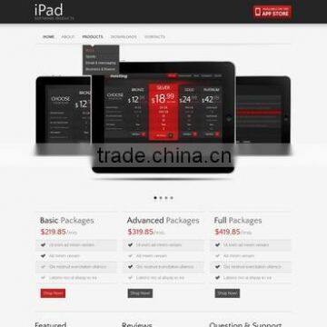 Software Development Services India photo-2