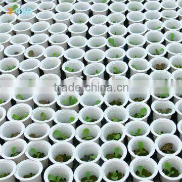 Grow Pot #2