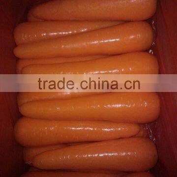 2014 new fresh yellow carrot grown in China