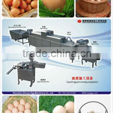 farm equipment stainless steel 3000pcs/h egg breaking/cracking machine 008613823737025