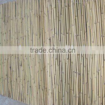 cheap price bamboo stick fence