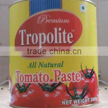 Custom Stick Label Tinned Tomato Paste, Canned Tomato Paste 800gram photo-4