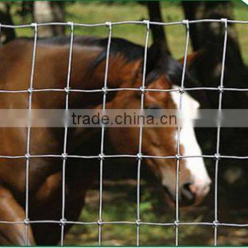 Galvanized Field Fence/sheep Fence/grassland Fence photo-4