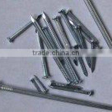 common nails manufacturer/sround common nail/stainless steel common nails