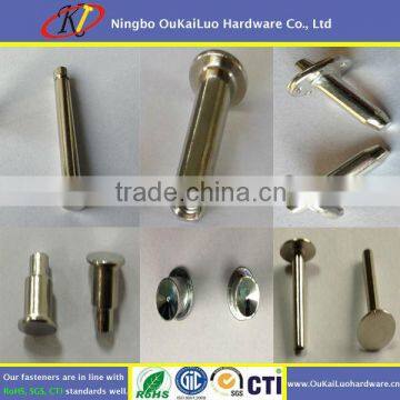 High Quality Rivet of Various Kinds of Plated Zn