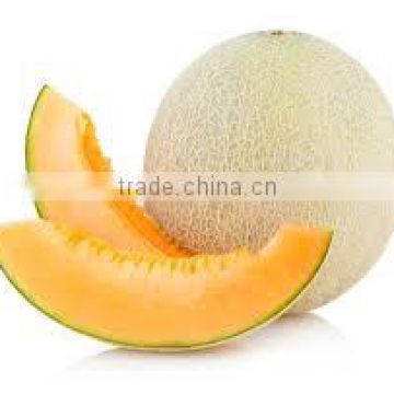 Sweet Fresh Melon Seed in Viet Nam- good quality