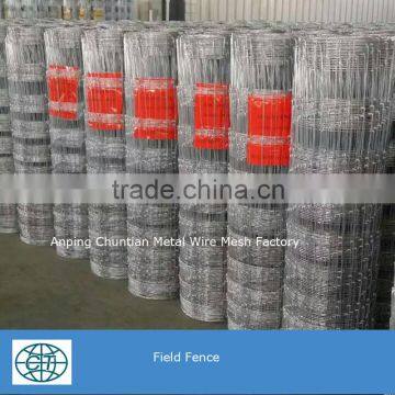 Hot Galvanized Grassland Fence Hot Sale photo-5