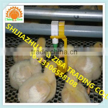 Africa farm Automatic chicken Pan Feeding linesSystem equipment farm