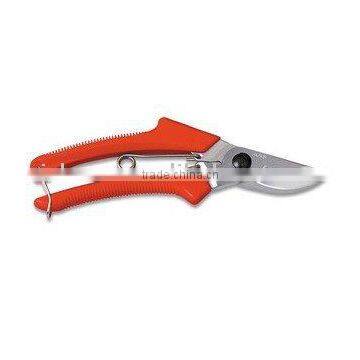 Pruning Shear