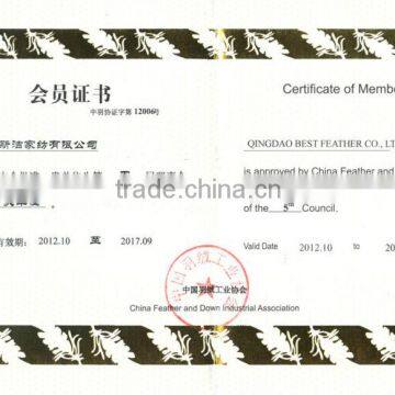 100% Short Soft Velvet Printing Cushion photo-4