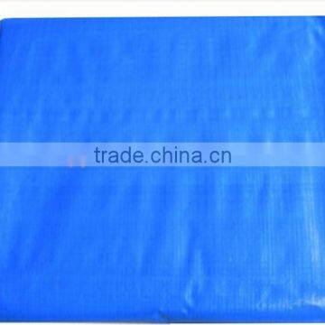 Tarpaulin High Quality PE Tarpaulin Manufacturer in China photo-2
