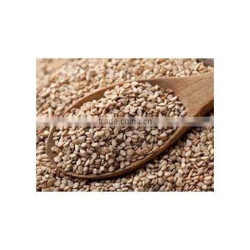 Indian origin sesame seeds