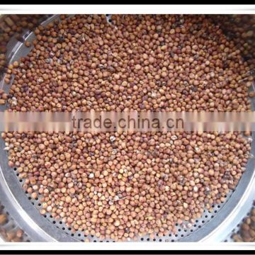 HIGH QUALITY SORGHUM