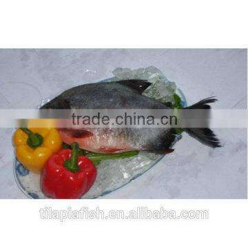 Whole round frozen freshwater fish for sale